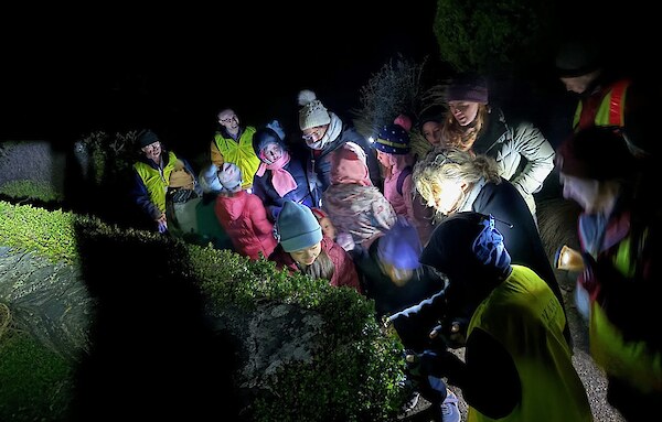 Paparangi Girl Guides spotted bag moths, stick insects, eels, many spiders and of course gorgeous glowworms on their night tour in winter, 2024