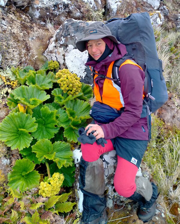 Heidi Meudt on Auckland Island