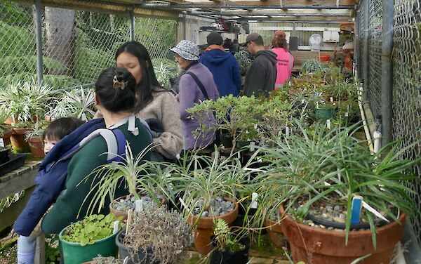 The current small nursery has little room for hosting visiting groups