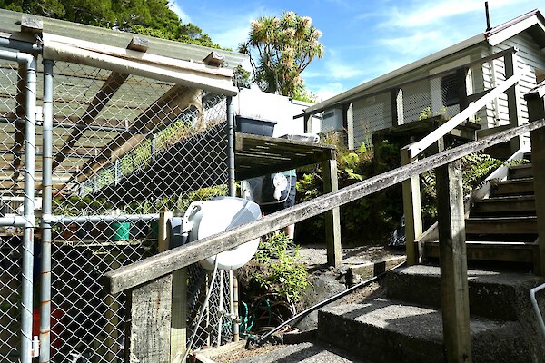 Redeveloping Ōtari’s old, crammed nursery facilities is now on the cards.