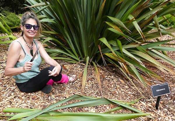 Linda Lee harvesting at Pā Harakeke